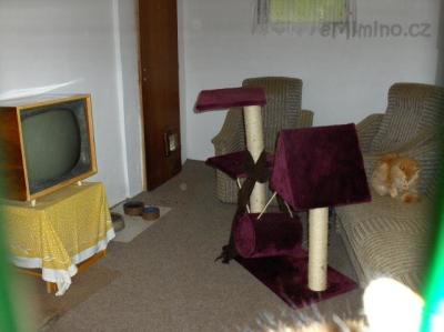 HPIM0375.JPG