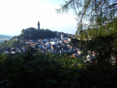 541.jpg