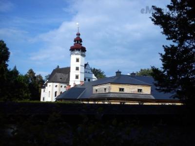 619.jpg