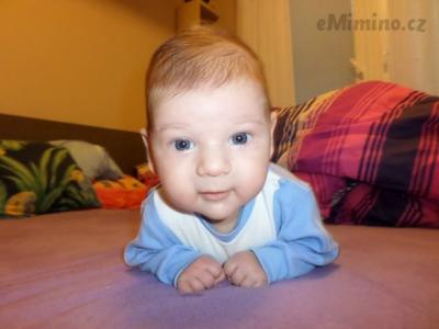 SAM_0296.JPG