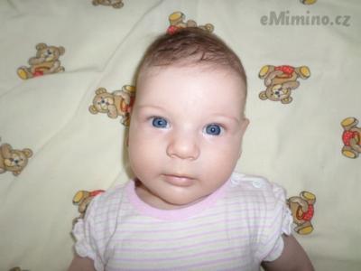 SAM_0497.JPG