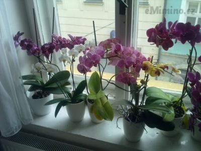 140720141013.jpg