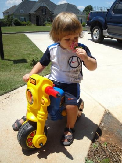cybex ruby