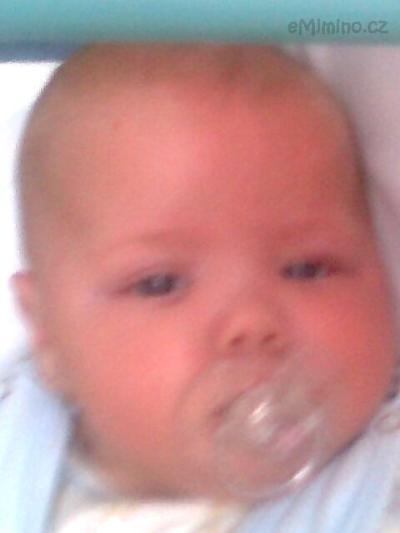 fotografie0002_002.jpg