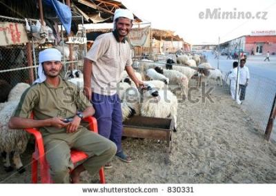 stock-photo-shepherds-at-the-livestock-market-in-doha-qatar-arabia-no-release-editorial-use-only-830