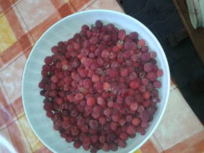 20140726_140644.jpg