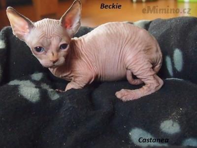 beckie.jpg