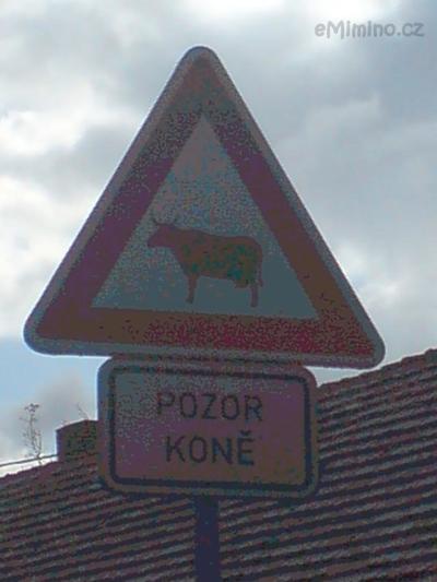 potvůrky