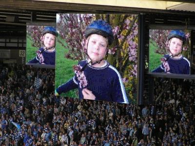 12697993403952177[1].jpg