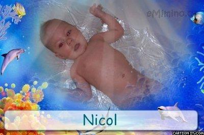 nicol-voda.jpg