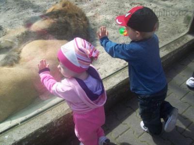 100_2151.jpg