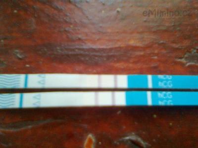 testik 2