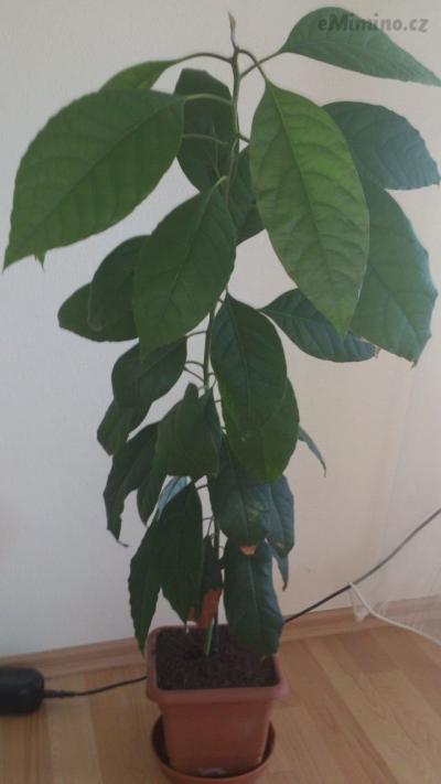 DSC_2897.jpg