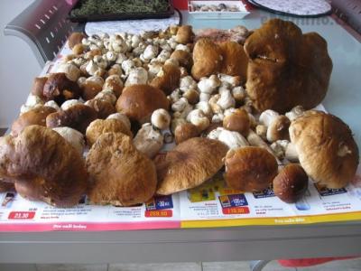 12.8.2014 007.JPG