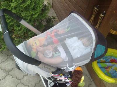 10062010047.jpg