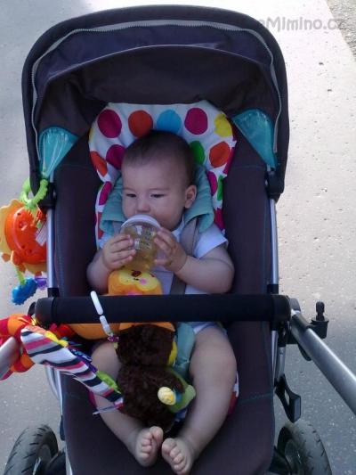 30062010076.jpg
