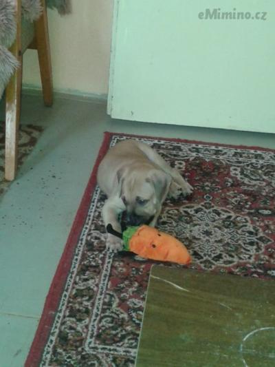 20140814_104132.jpg