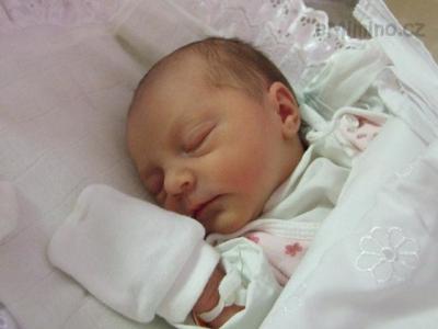 DSCF2708.JPG