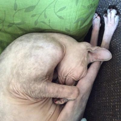 image.jpg