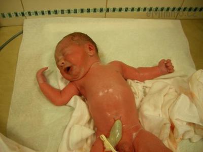 Davídek,49cm,2,90