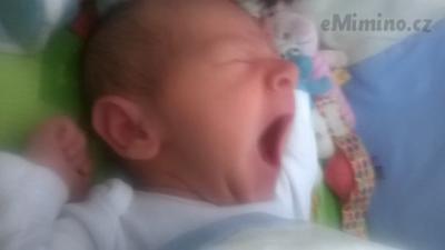 WP_20140802_006.jpg