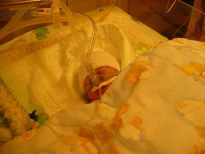 1.hodina