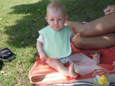 piknik