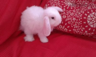 20140801_112823.jpg