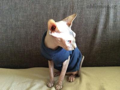 image.jpg