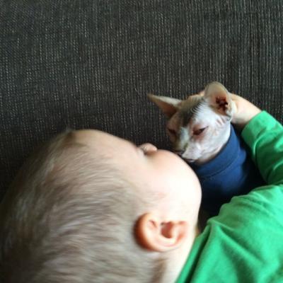 image.jpg