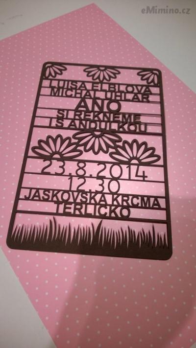 WP_20140702_001.jpg