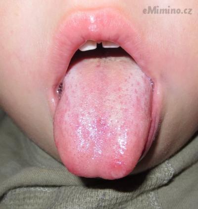 IMG_7617.JPG