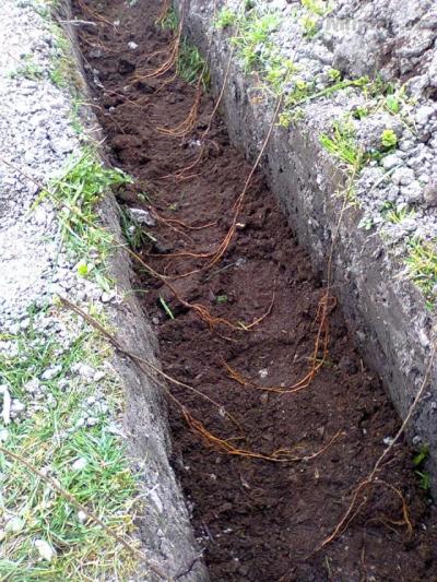 e nachystáno ( 29. březen) (3).jpg