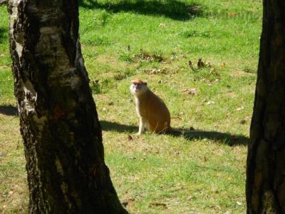 DSCN1076.JPG