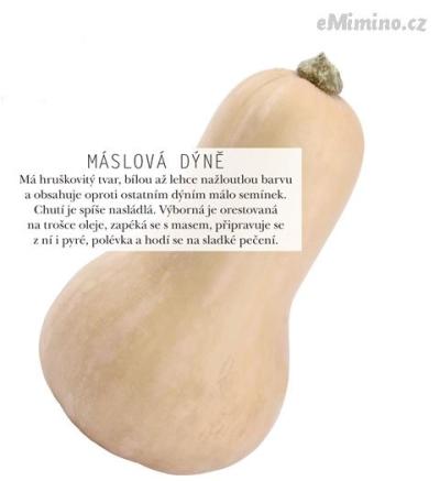 maslova-480.jpg