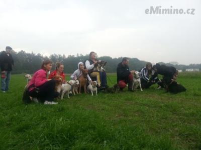 IMG_20140916_163511.jpg