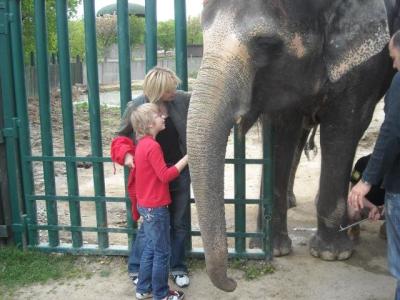 ZOO Ustí 003.jpg