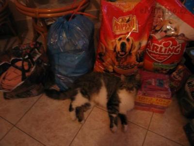 pirko2012.jpg