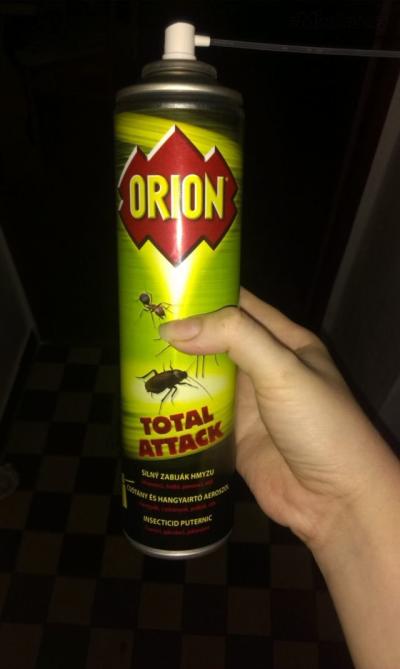 IMAG3692.jpg