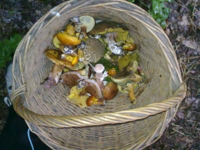 280820101764.jpg