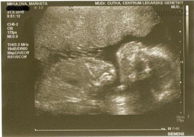 skenovat0002(2).jpg