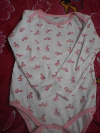 PA050136.JPG