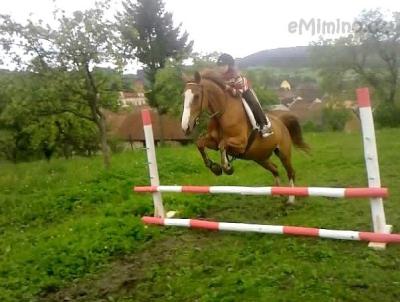 všechno a míša skoky 076.jpg