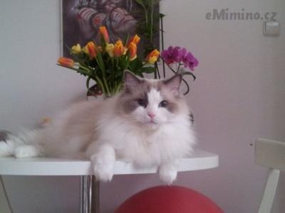 20140404_184600.jpg