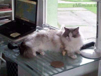 20140809_171447.jpg