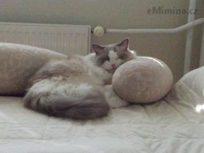 20140816_160526.jpg