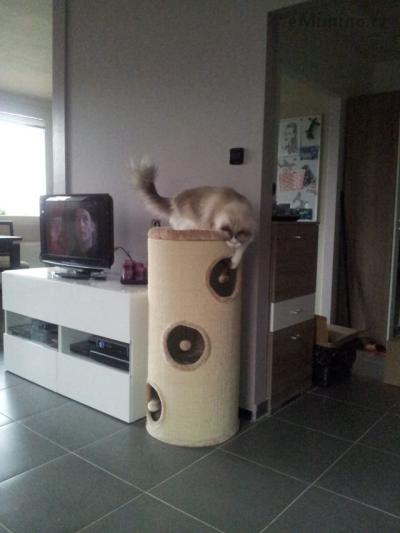 20140911_143635.jpg