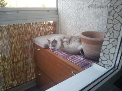 20141018_123715.jpg