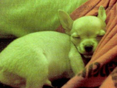 24022009_002.jpg