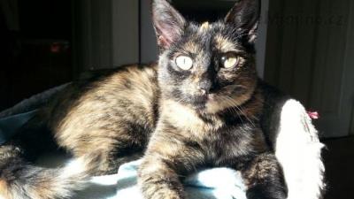 IMG-20141030-WA0009.jpg